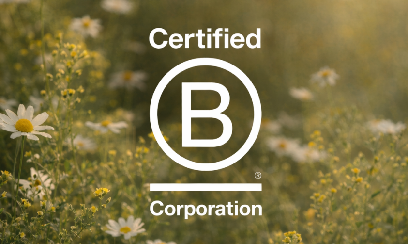 B Corp Recertification 2026, What’s Changed and the Best Agent to Get It Done